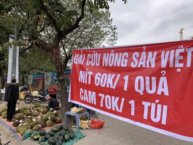 Giải cứu nông sản tại các tuyến phố ở Hà Nội
